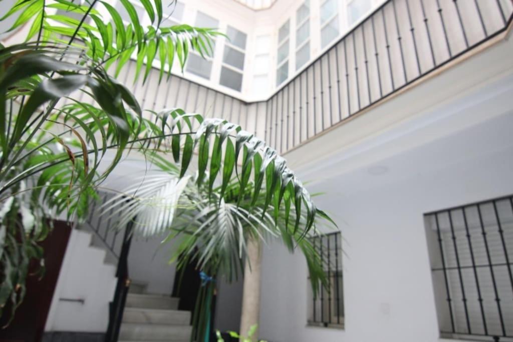 Apartamento Feduchy 10 Min De La Playa 2 Banos 加的斯 外观 照片