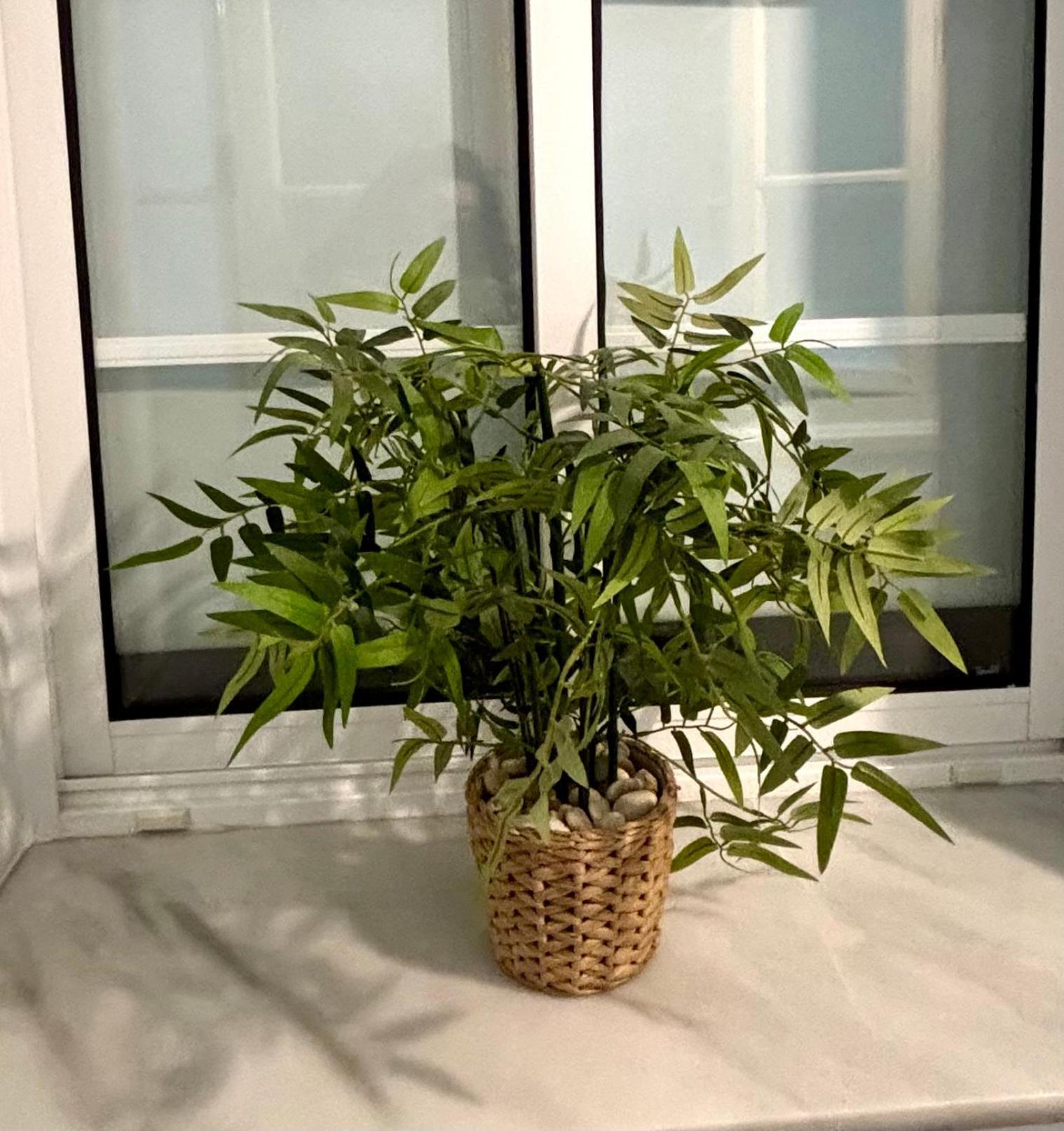Apartamento Feduchy 10 Min De La Playa 2 Banos 加的斯 外观 照片